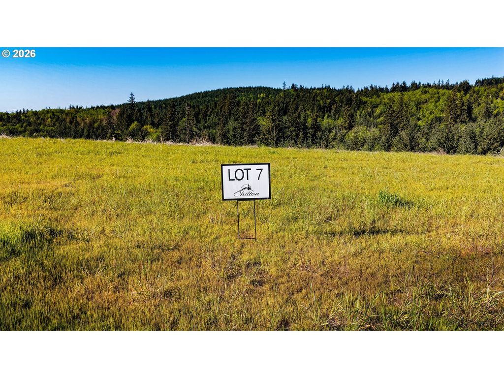 Carmen Sylvia Dr Lot 7, Kalama