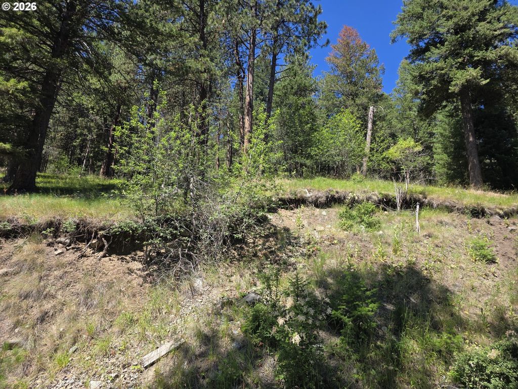 61290 Lake Shore Rd, Wallowa Lake