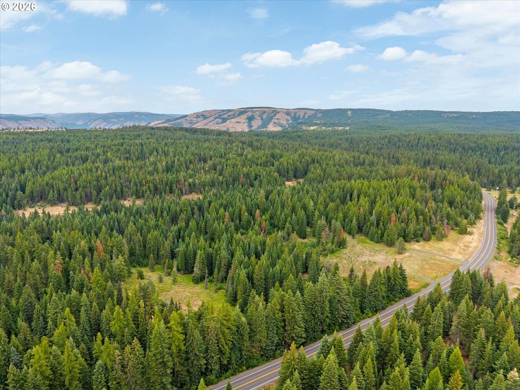 Hwy 204, Weston