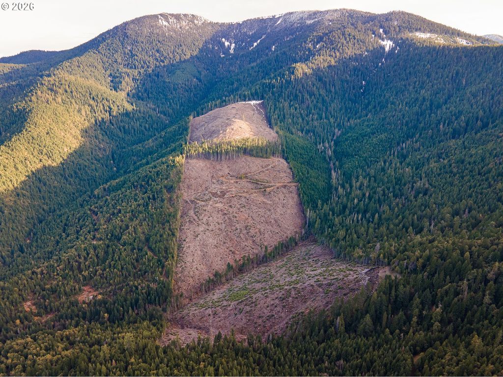 Rock Creek Rd, Williams
