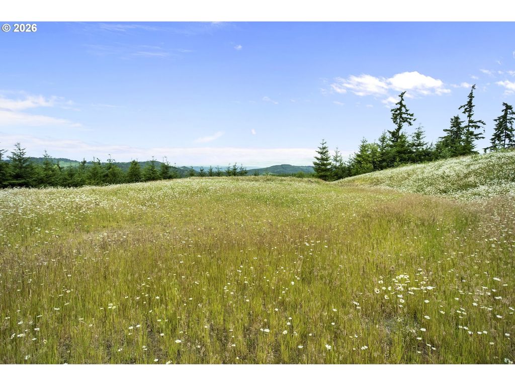 104 Bootjack Ln, Kelso