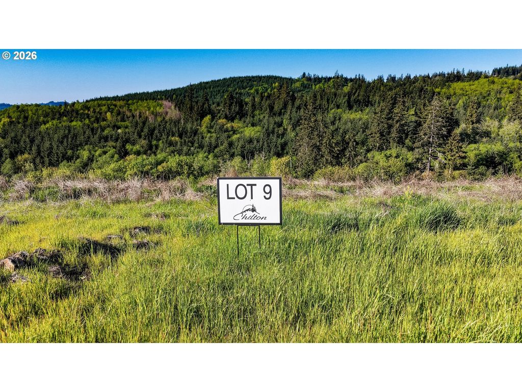 Carmen Sylvia Dr Lot 9, Kalama