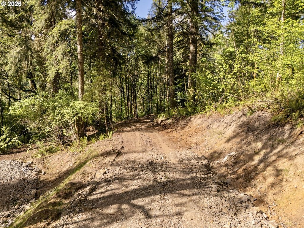 147 Old Spreadborough Rd, Kalama