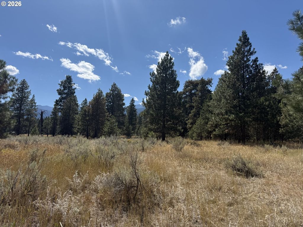 13740 Red Fox Lane 702, Baker City