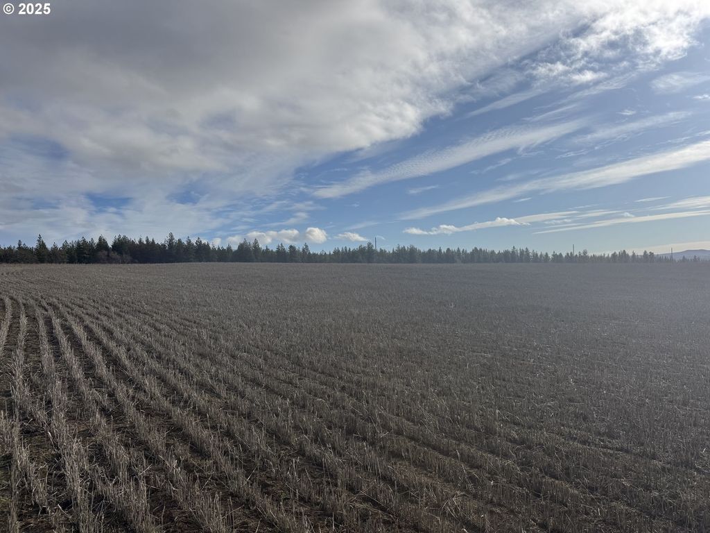 Nka Two Mountainview Rd 2, Goldendale