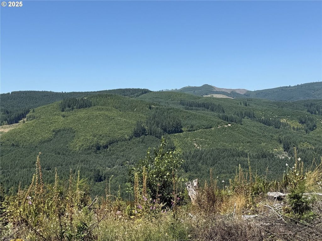 3725 Little Kalama River Rd, Woodland
