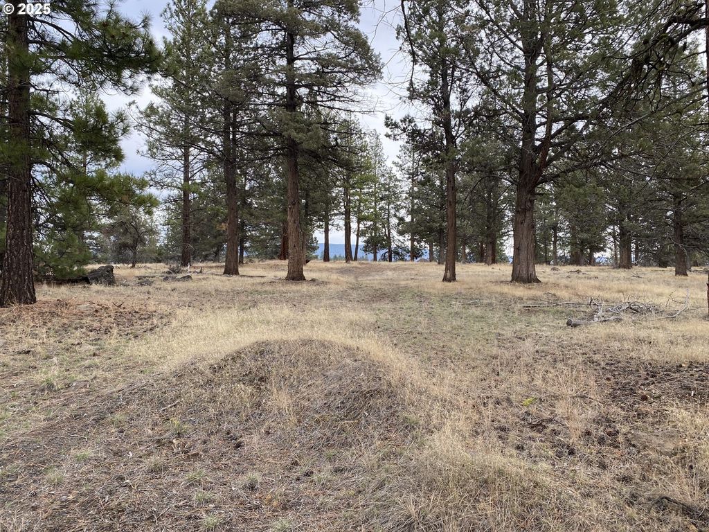 Widgeon Dr, Bonanza