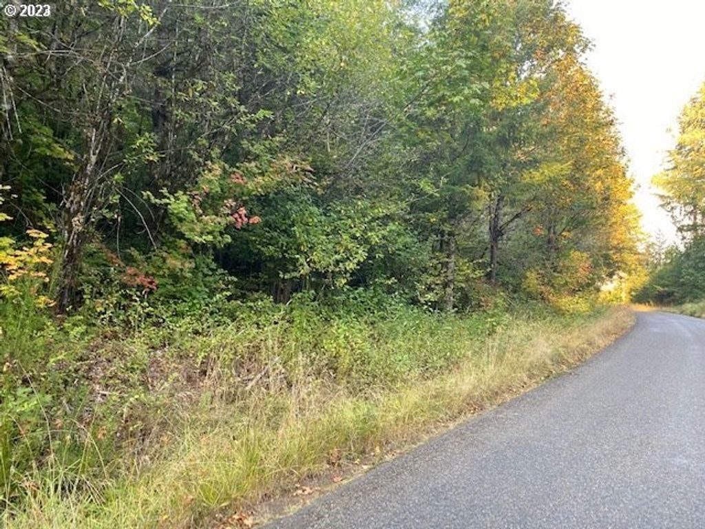 Mcgowan Creek, Springfield
