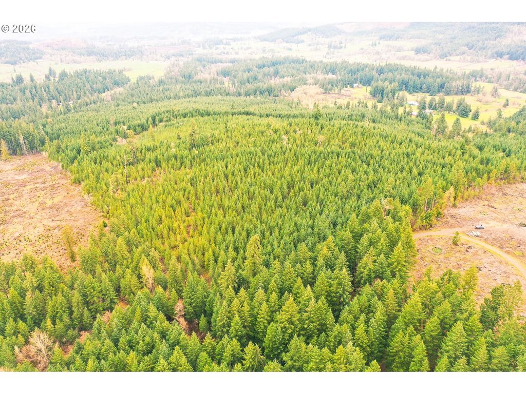Anthony Creek Rd Tl700, Dexter