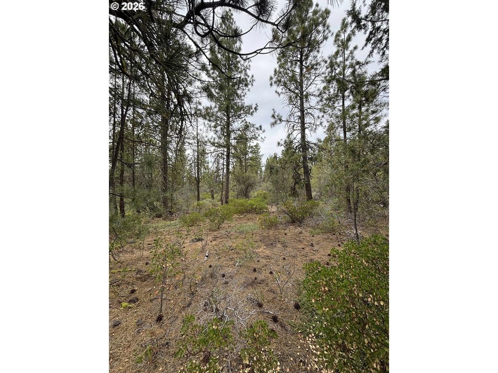 Gibbon Ln, Bonanza