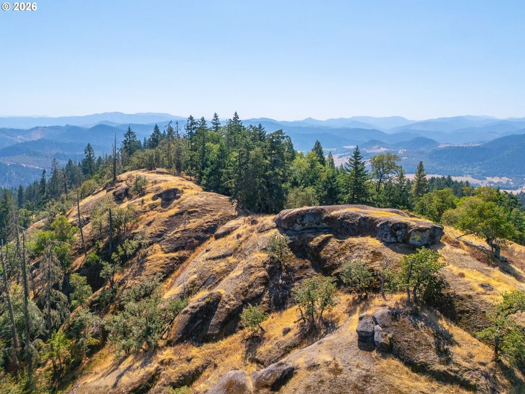 Strickland Canyon Rd Tl100, Tenmile