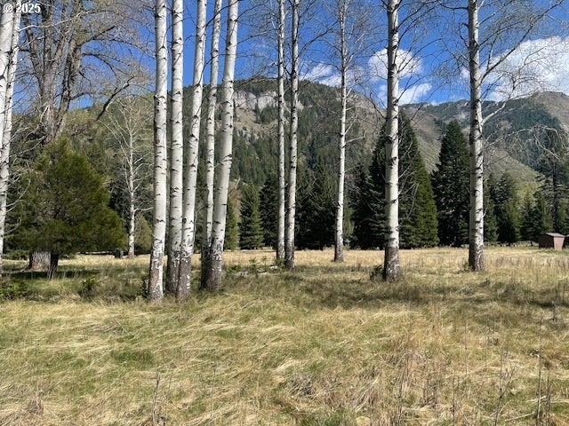 Granger Rd., Lostine