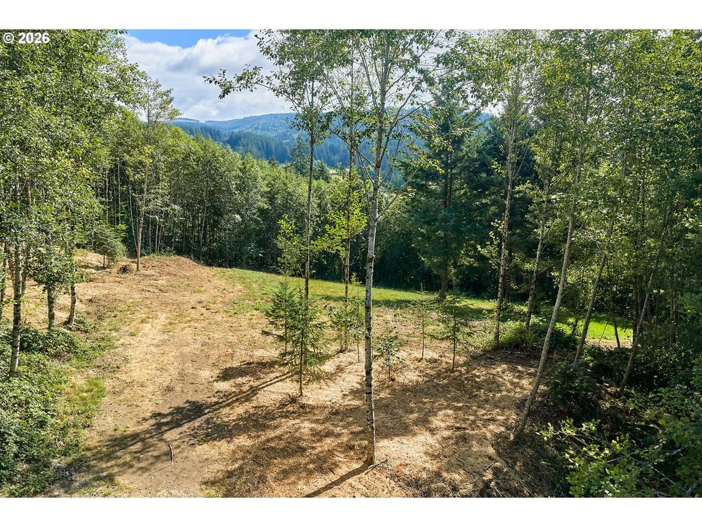 182 White Dog Rd, Washougal