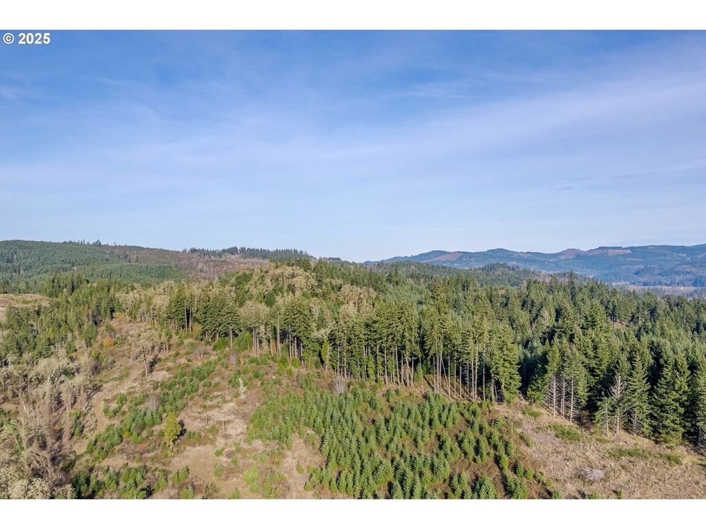 Holly - Lot 2, Cottage Grove