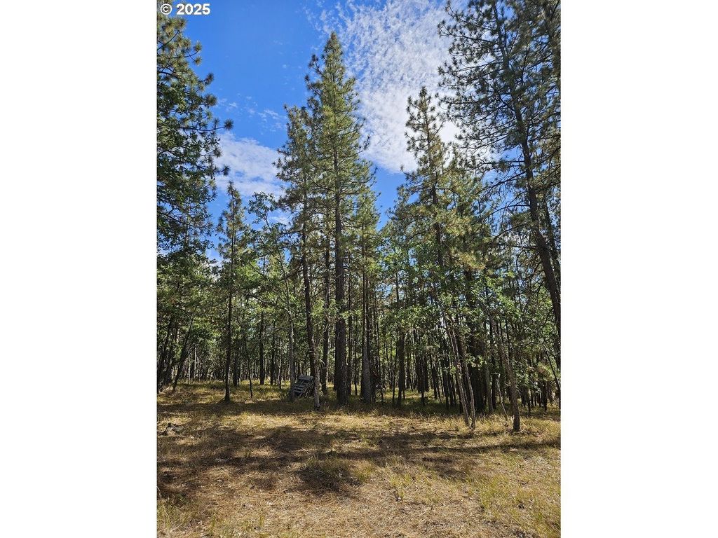 50 Jefferson Vista, Goldendale
