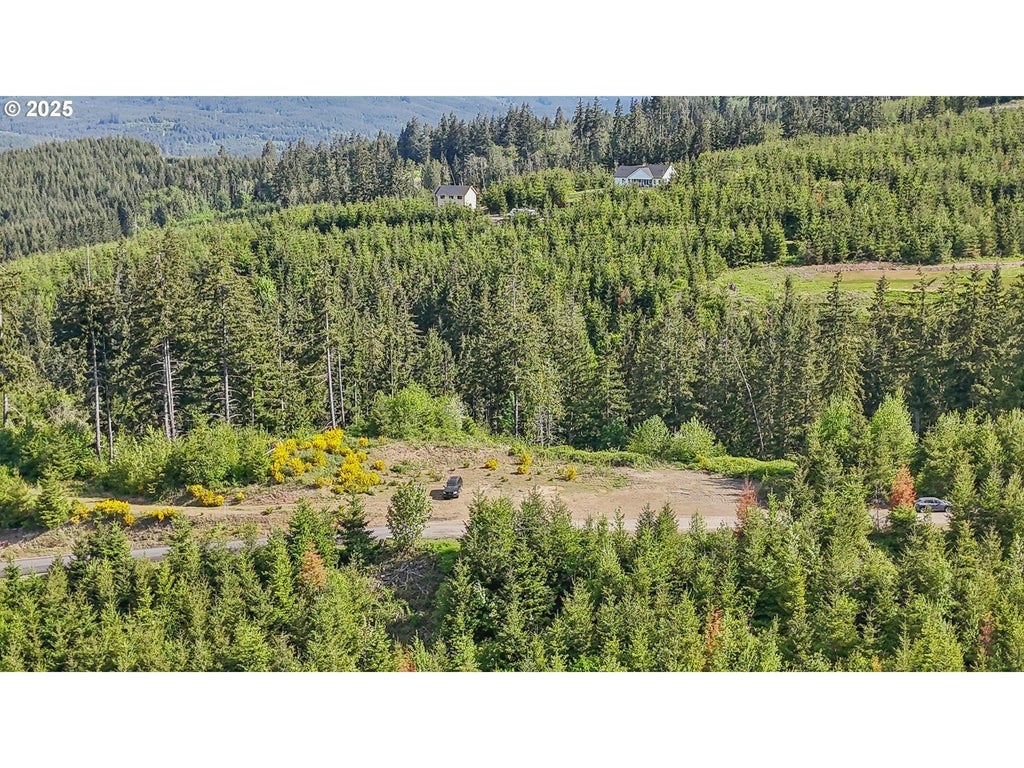 143 Bootjack Ln Lot 1, Kelso