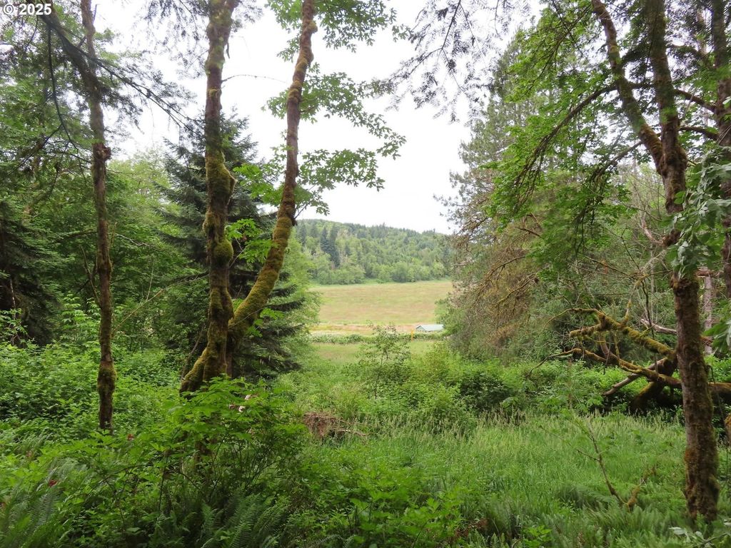 21720 Zenkner Valley Rd, Centralia