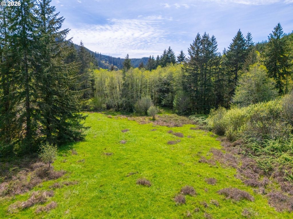 Nelson Mountain Rd Tl200, Walton