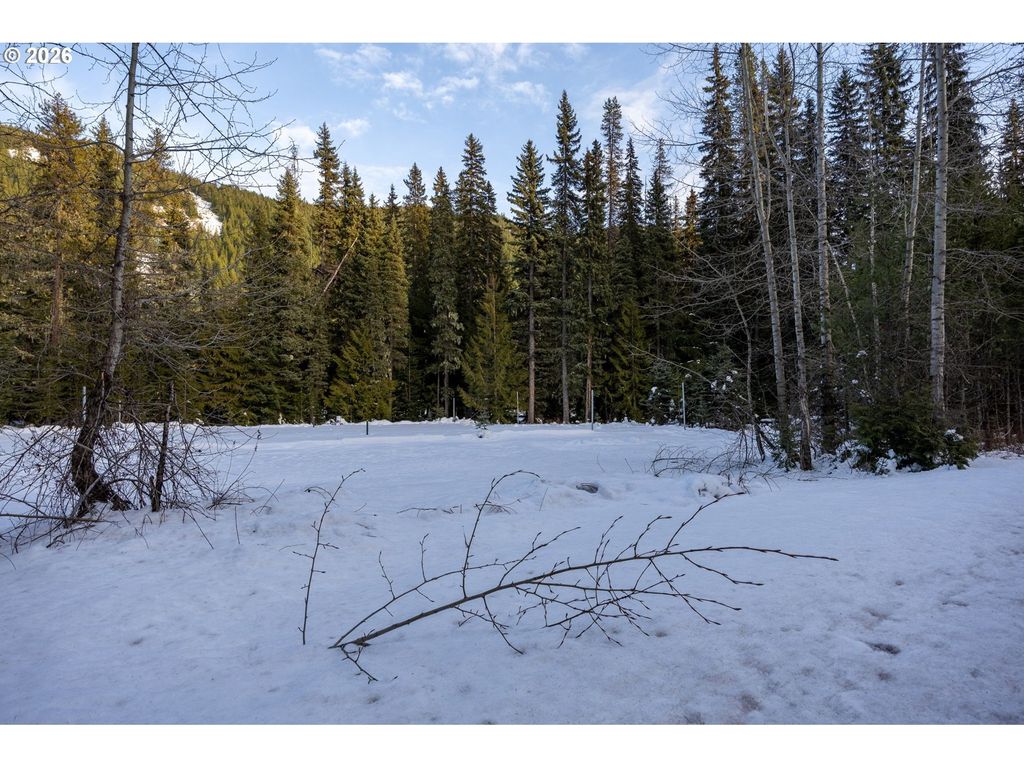 93732 E Highway 26 101, Government Camp