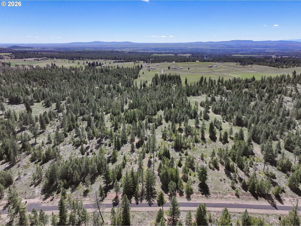 Ginger Way 4, Goldendale