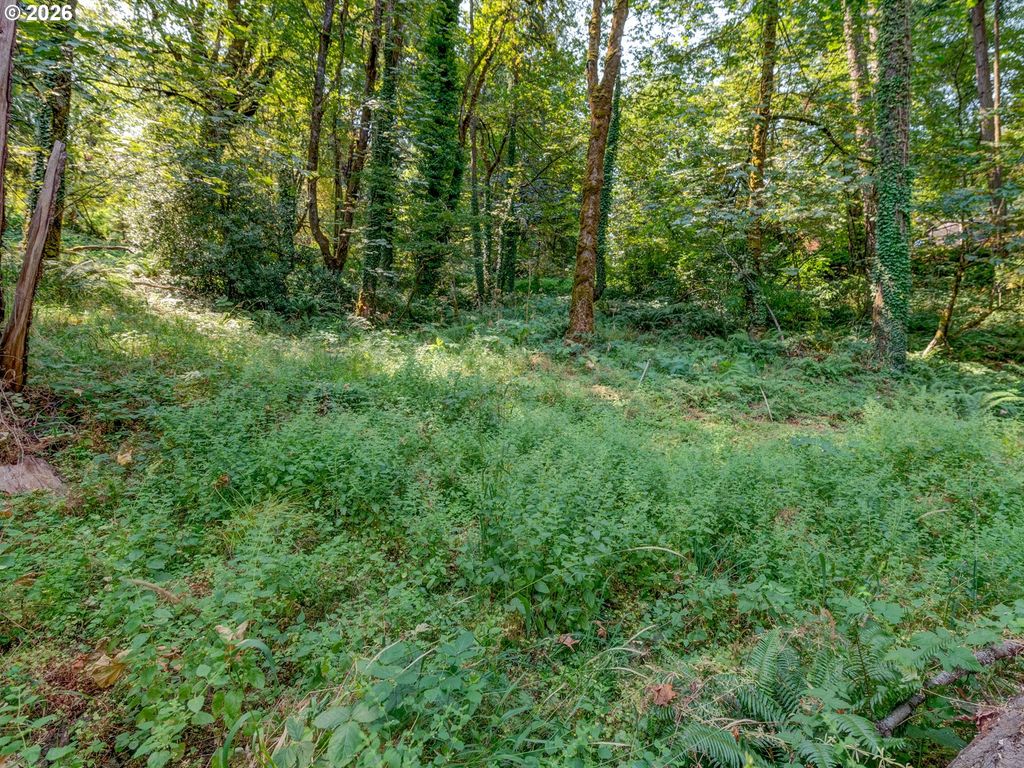 4899 Elva Ln, Eugene