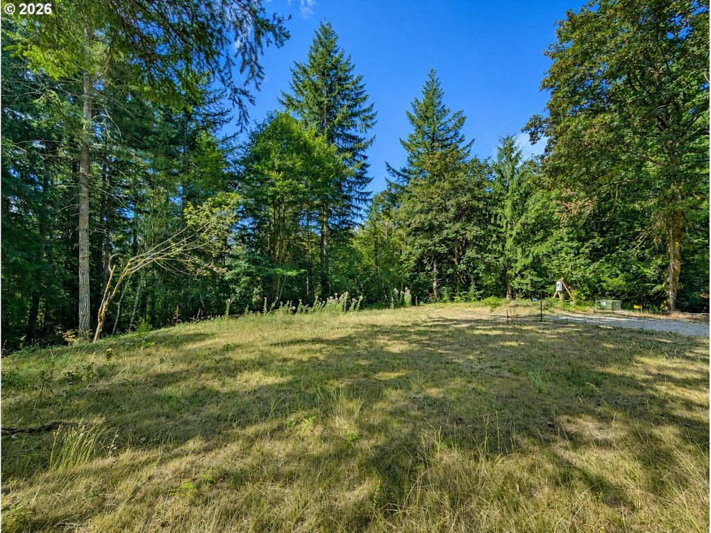 000 Ne Schauer Dr, Battle Ground