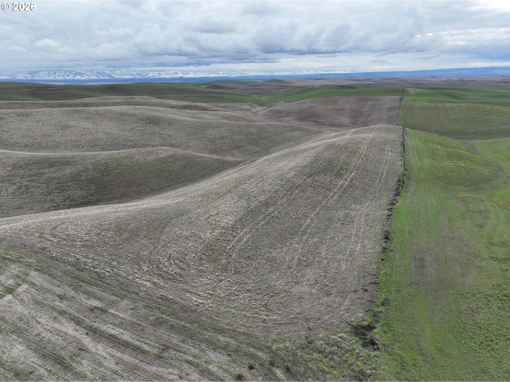 Harvey Shaw Rd, Walla Walla
