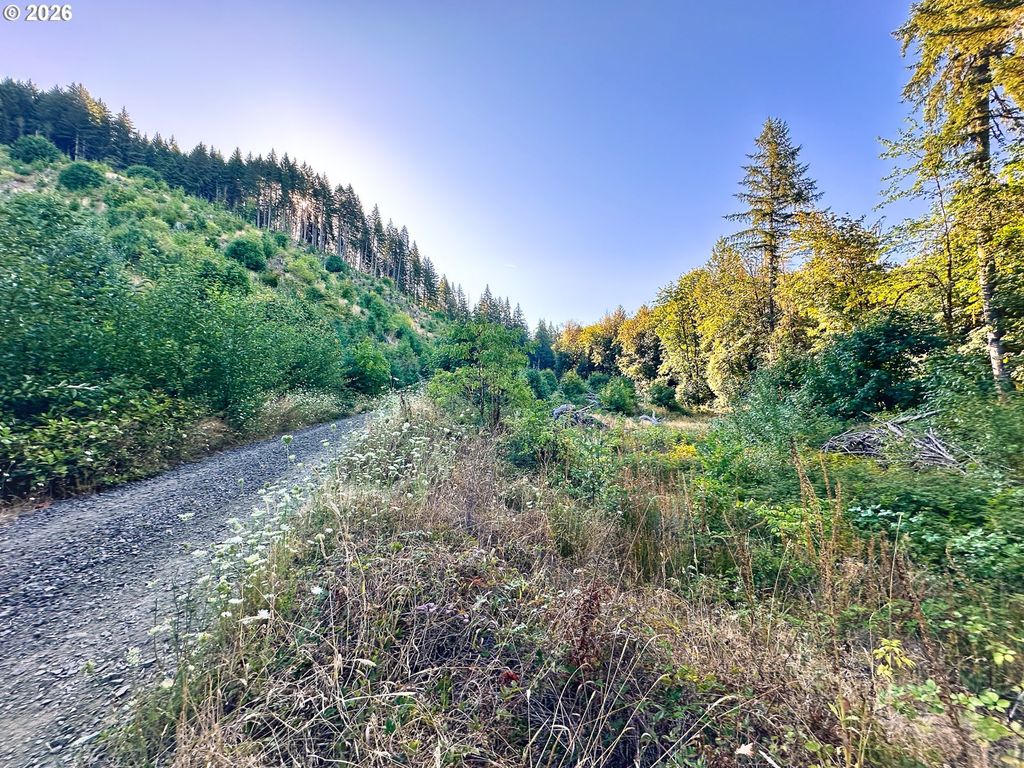 Honeygrove Rd Tl200, Alsea