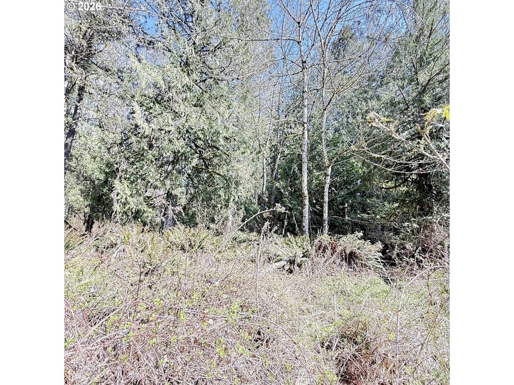 0000 N Louisiana Ave, Vernonia