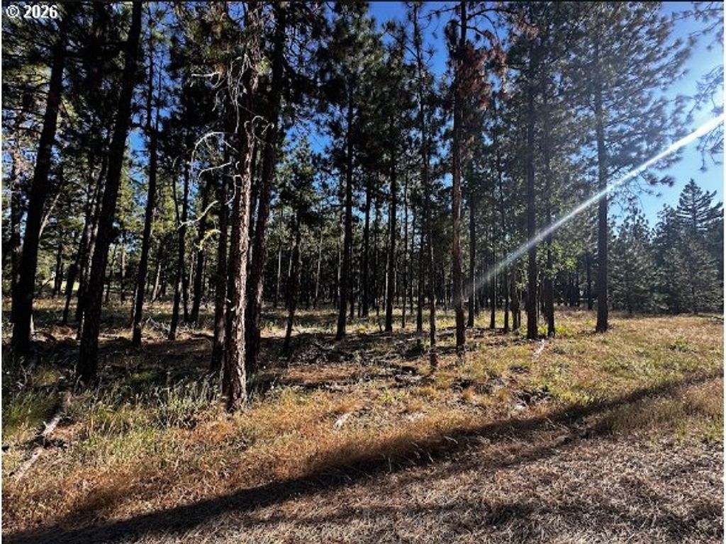 3 Carol Ln, Goldendale