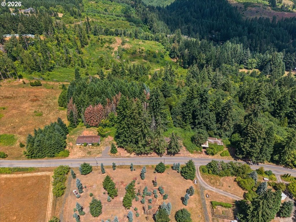 20802 Nw Pumpkin Ridge Rd, North Plains