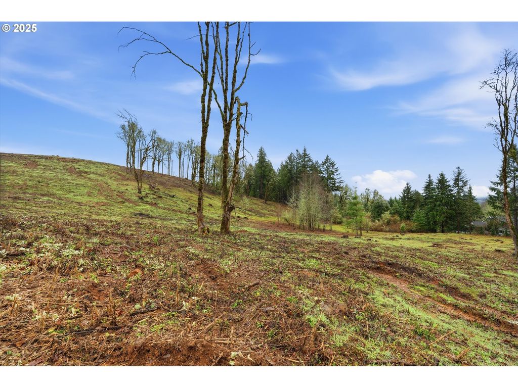 Nw Berry Creek Rd Par 1, McMinnville