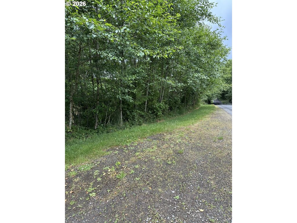488 Ravenwood Rd, Kelso