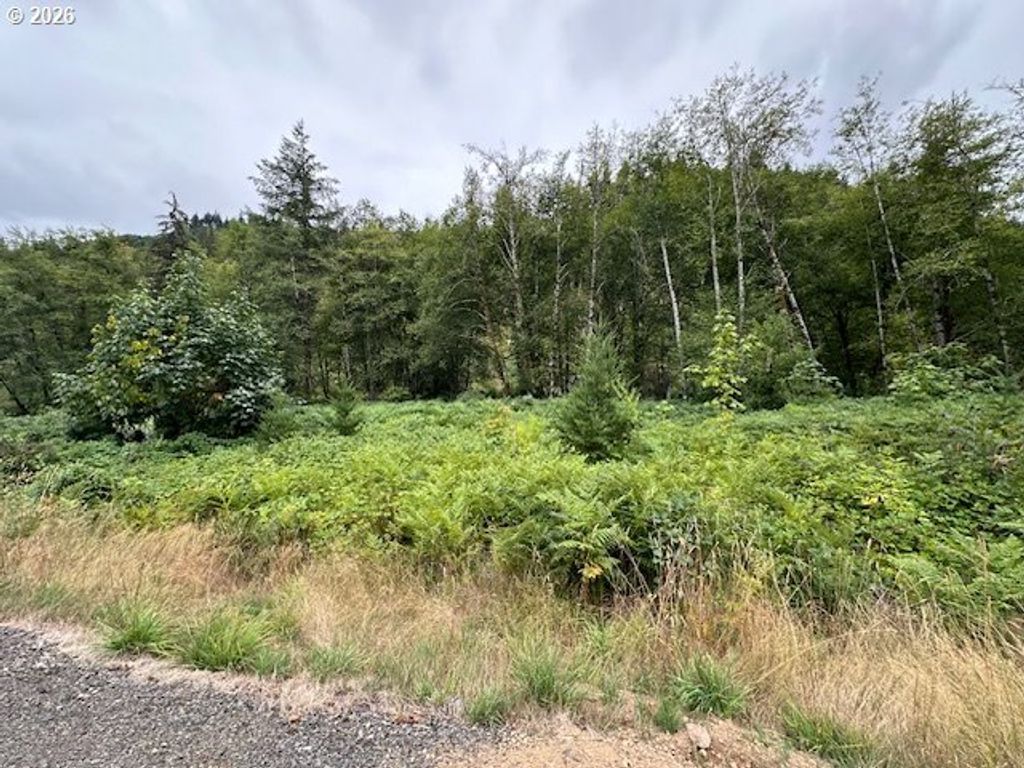 1 N Dubois Rd, Ariel