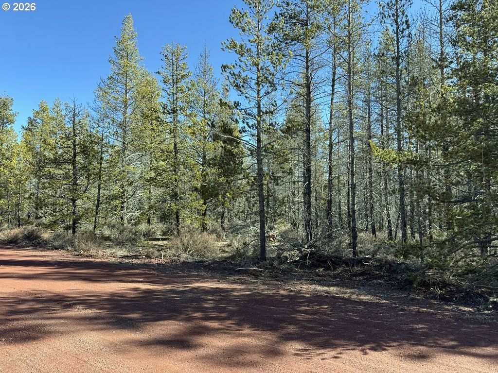 Scott View Drive 11, Chiloquin
