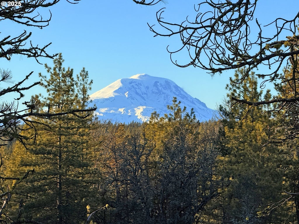 Boardman Way 5, Goldendale