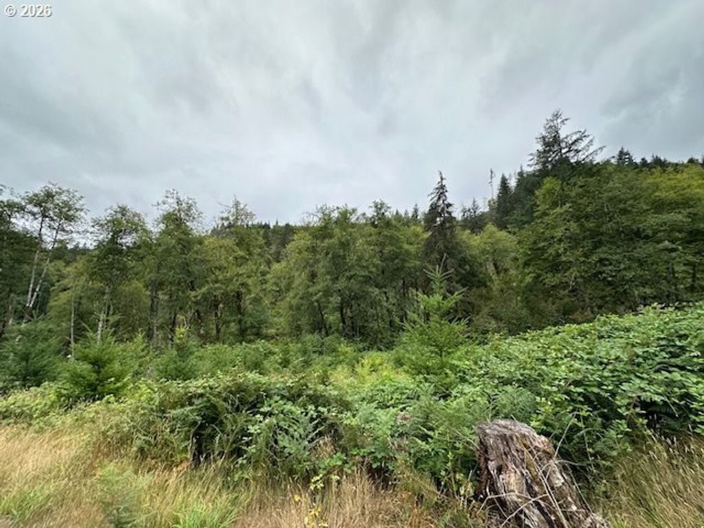 3 N Dubois Rd, Ariel