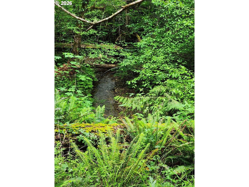 Louis Creek Rd, Myrtle Creek