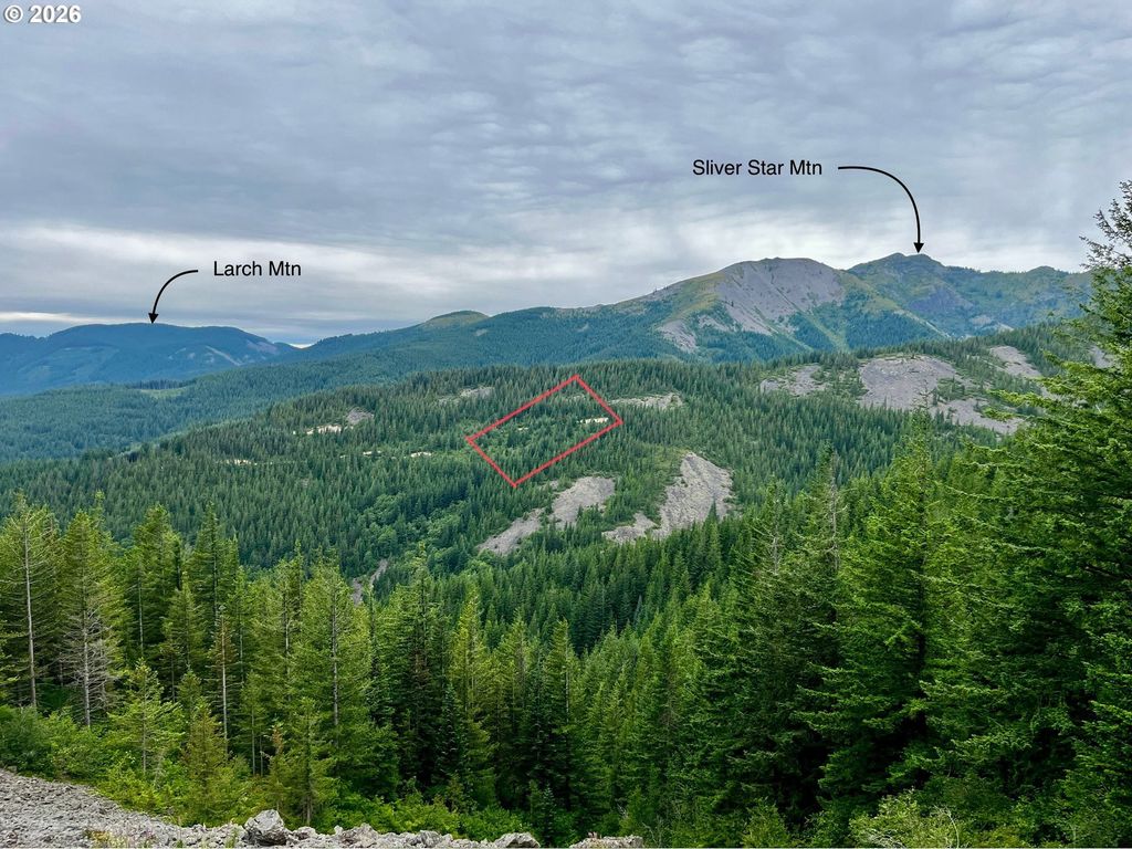 Snag Mountain Rd 110, Washougal