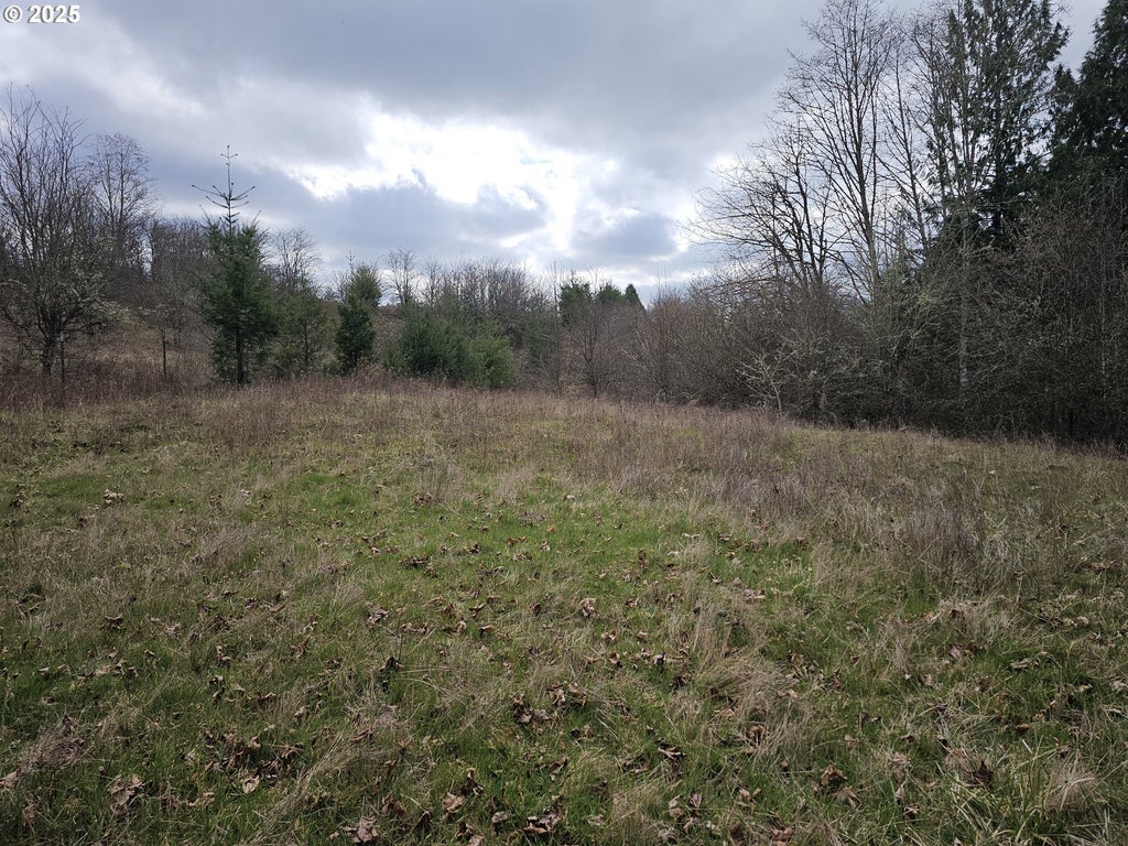 Ne 339th St, La Center