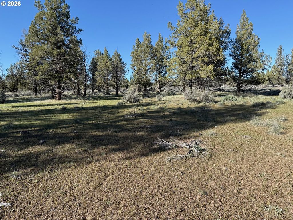 Fishhole Creek Rd, Bly
