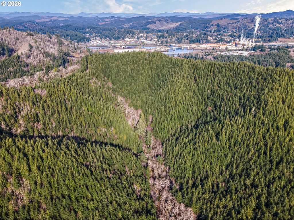 Criteser Loop, Toledo