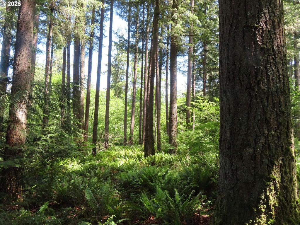 5033 Polehn Rd Sw, Rochester