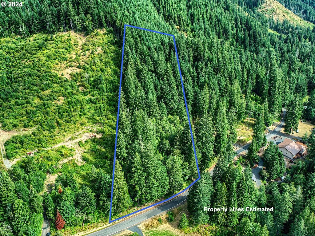 Bear Creek Rd, Carson