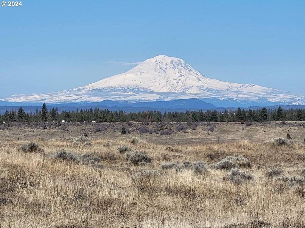 Lipo, Goldendale