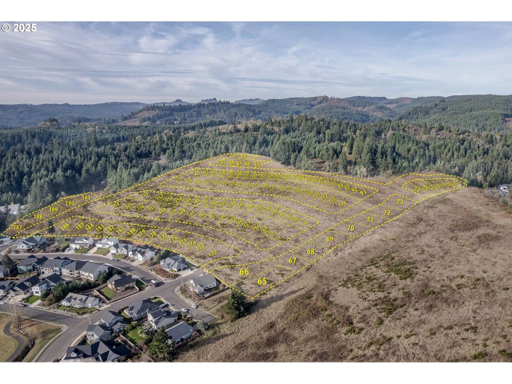 Holly Ave - Lot 1, Cottage Grove