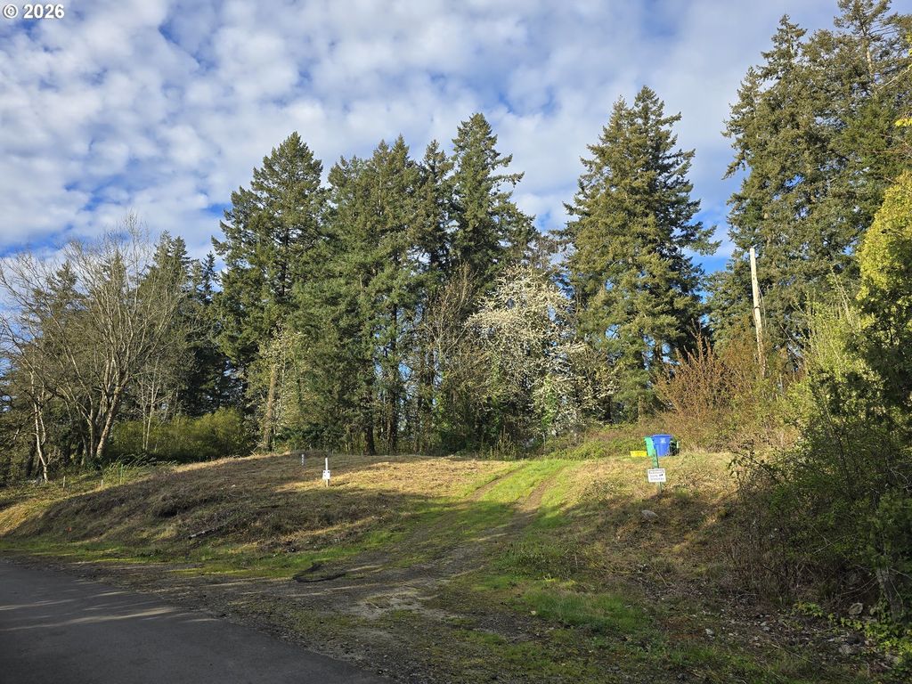 Sw 41st Ave Lot #1, Portland