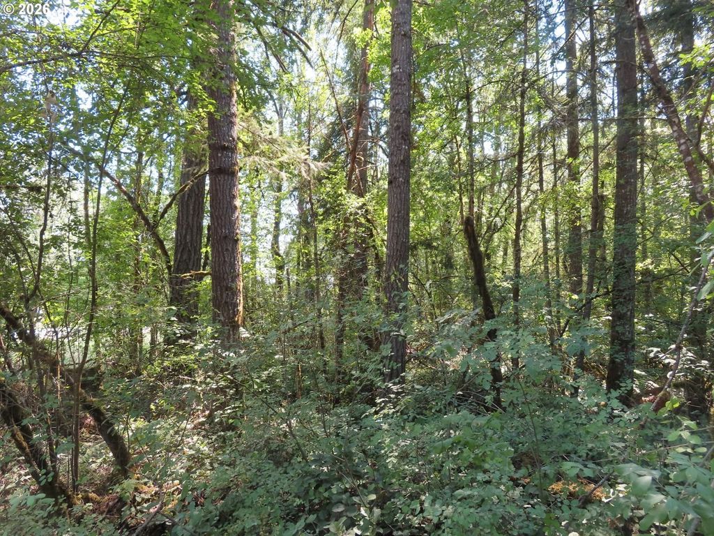 115 Campground Ln, Winlock
