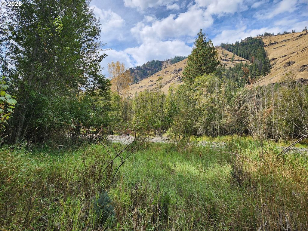 60152 River Canyon Rd, Imnaha