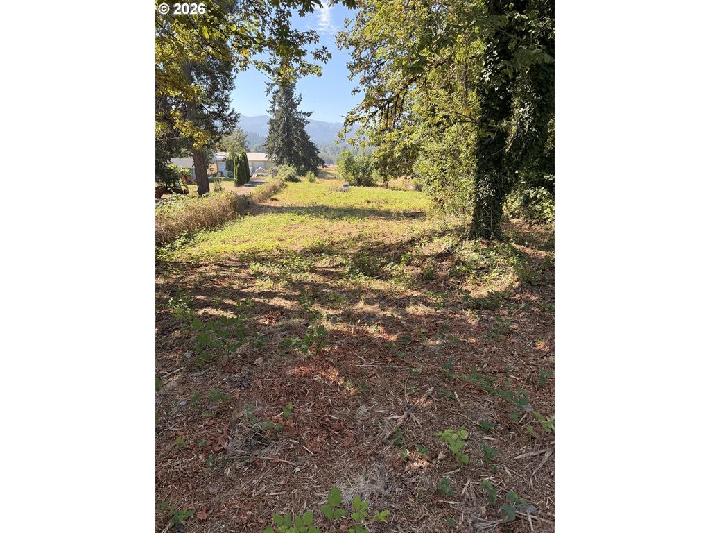 Mckenzie Hwy, Springfield